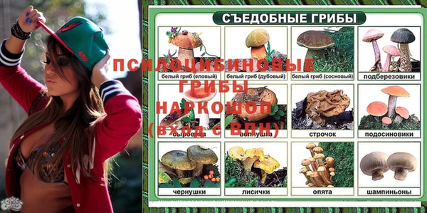 скорость Алексин
