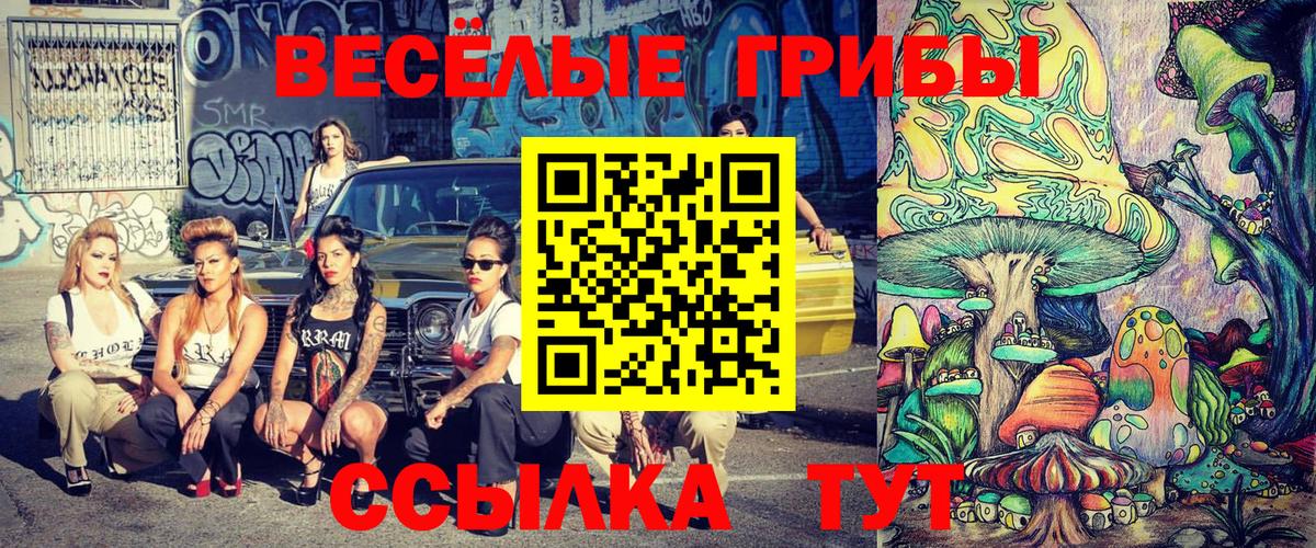Псилоцибиновые грибы ЛСД Геленджик