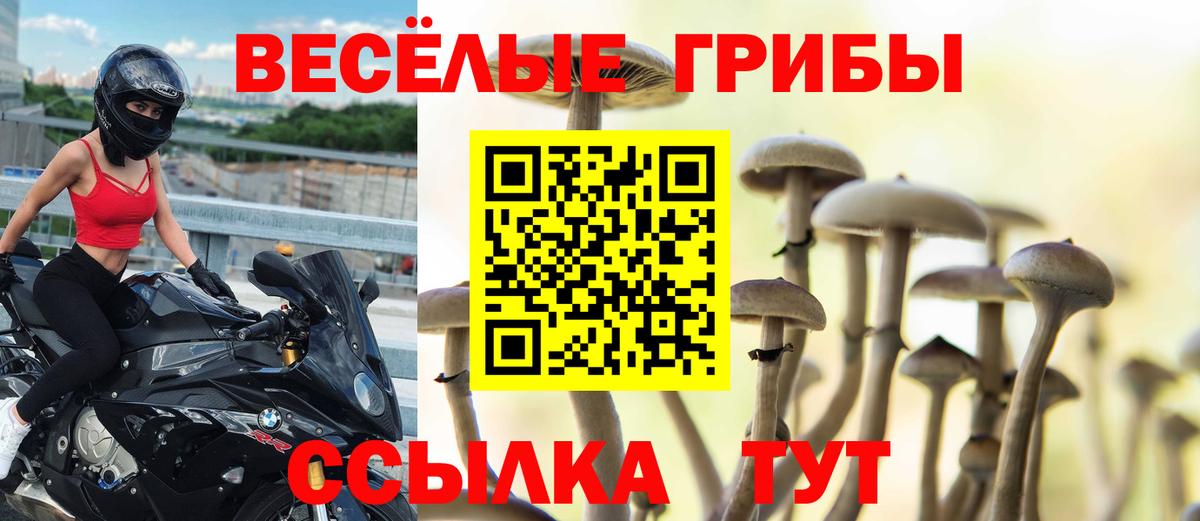 Геленджик  Галлюциногенные грибы ЛСД  Вход с VPN  Галлюциногенные грибы мицелий 